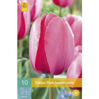 Compra TULIPÁN PINK IMPRESSION en la tienda online Fito Agrícola