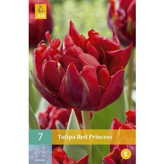 Compra TULIPÁN RED PRINCESS en la tienda online Fito Agrícola