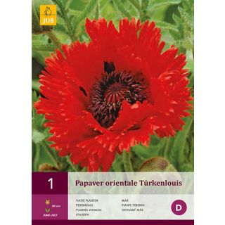 Compra AMAPOLA TÜRKENLOUIS en la tienda online Fito Agrícola