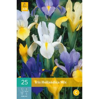 Compra IRIS HOLANDICA MIX en la tienda online Fito Agrícola