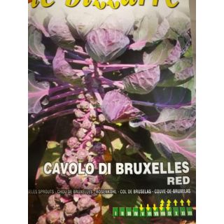 Compra COL DE BRUSELAS ROJA (2 gr.). en la tienda online Fito Agrícola