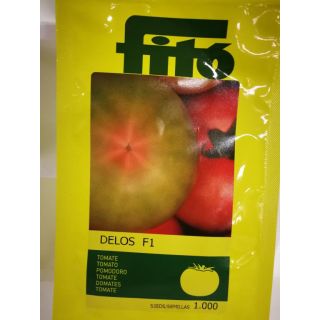 Compra TOMATE ENATE F1 (1.000 Semillas) en la tienda online Fito Agrícola