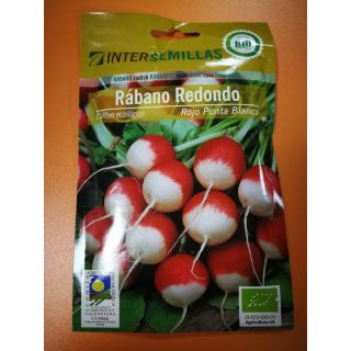 Compra RABANITO ROJO REDONDO PUNTA BLANCA ECOLÓGICO (100 gr.) en la tienda online Fito Agrícola