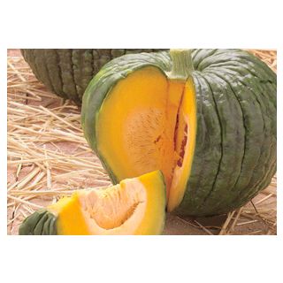 Compra CALABAZA ROTEÑA (500 gr.) en la tienda online Fito Agrícola