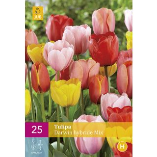Compra TULIPÁN DARWIN HÍBRIDO MIX XXL en la tienda online Fito Agrícola