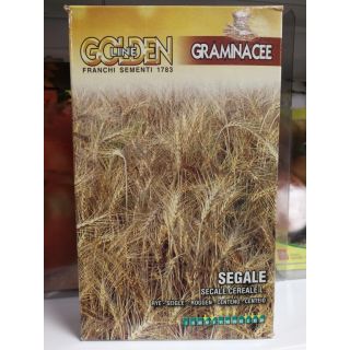 Compra CENTENO FRANCHI (100 gr.). en la tienda online Fito Agrícola