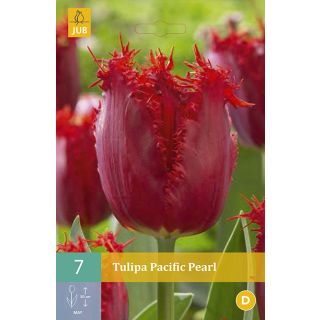 Compra TULIPÁN PACIFIC PEARL en la tienda online Fito Agrícola