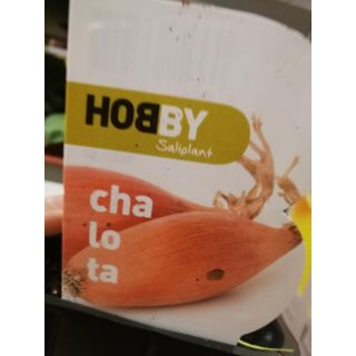 Compra CHALOTA MB50 en la tienda online Fito Agrícola