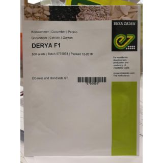 Compra PEPINO DERYA F-1 (500 Semillas) en la tienda online Fito Agrícola