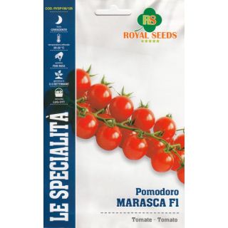 Compra TOMATE MARASCA F-1 (0,15 gr.). en la tienda online Fito Agrícola