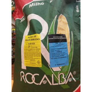 Compra MAÍZ AGN625 Ciclo 700 (50.000 Semillas) en la tienda online Fito Agrícola