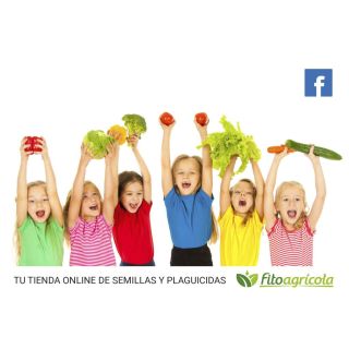 Compra PEREJIL DOBLE RIZADO (500 gr.). en la tienda online Fito Agrícola
