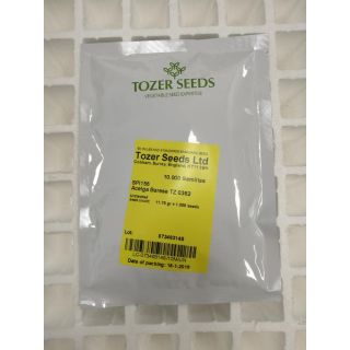 Compra ACELGA BARESE (10.000 Semillas) en la tienda online Fito Agrícola