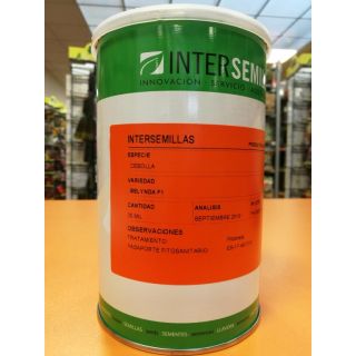 Compra CEBOLLA BELYNDA F1 Pildorada (25.000 Semillas) en la tienda online Fito Agrícola