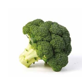 Compra BRÓCOLI TRITÓN F-1 (2.500 Semillas) en la tienda online Fito Agrícola