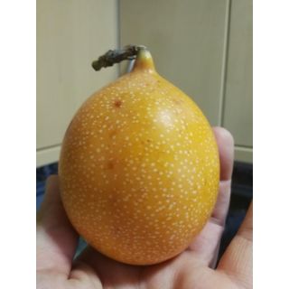 Compra MARACUYÁ GRANADILLA en la tienda online Fito Agrícola