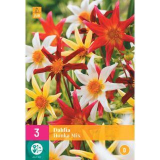 Compra DALIA HONKA MIX XXL en la tienda online Fito Agrícola