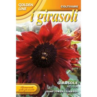 Compra GIRASOL RED SUN (3 gr.). en la tienda online Fito Agrícola