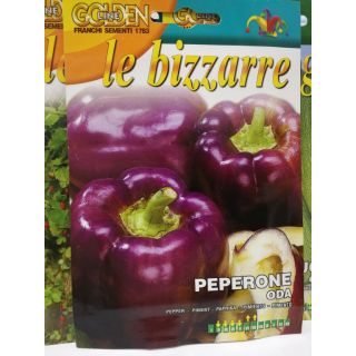 Compra PIMIENTO ODA (1,5 gr.). en la tienda online Fito Agrícola