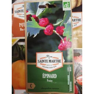 Compra ESPINACA FRESA AB (200 semillas) en la tienda online Fito Agrícola