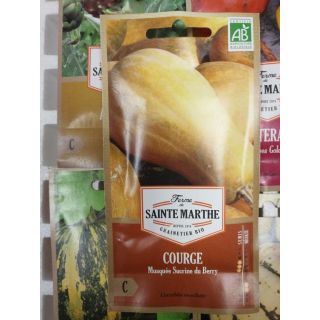 Compra CALABAZA MUSQUE SUCRINE DU BERRY AB (15 Semillas). en la tienda online Fito Agrícola