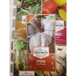 Compra CALABAZA TRISTAR (TRIAMBLE) AB (15 Semillas) en la tienda online Fito Agrícola