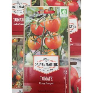 Compra TOMATE ORANGE BOURGOIN AB (50 Semillas) en la tienda online Fito Agrícola
