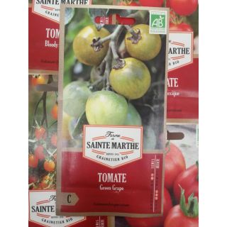 Compra TOMATE GREEN GRAPE AB (50 Semillas) en la tienda online Fito Agrícola
