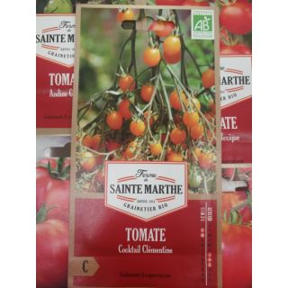 Compra TOMATE COCKTAIL CLEMENTINE AB (50 Semillas). en la tienda online Fito Agrícola