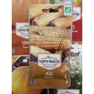 Compra MAÍZ DOUX MINER AB (50 Semillas) en la tienda online Fito Agrícola