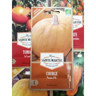 Compra CALABAZA POMME D´OR AB (15 Semillas) en la tienda online Fito Agrícola