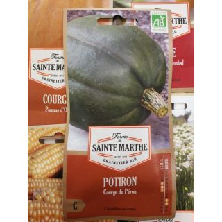 Compra CALABAZA DU PEROU AB (15 Semillas) en la tienda online Fito Agrícola