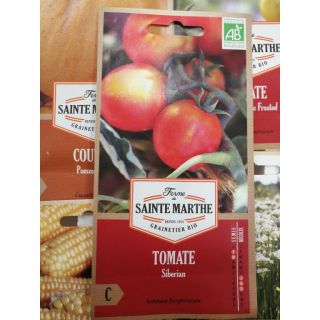 Compra TOMATE SIBERIAN AB (30 Semillas) en la tienda online Fito Agrícola