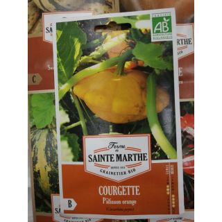 Compra CALABAZA PATISSON ORANGE AB (15 Semillas). en la tienda online Fito Agrícola
