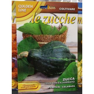 Compra CALABAZA TRUE GREEN HUBBARD (3 gr.). en la tienda online Fito Agrícola