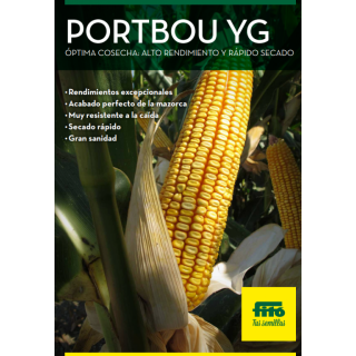 Compra MAÍZ PORTBOU YG Ciclo 700 Sin Tratar (50.000 Semillas) en la tienda online Fito Agrícola