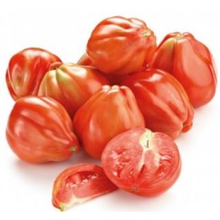 Compra TOMATE CUOR DI BUE ECOLÓGICO ME11 en la tienda online Fito Agrícola
