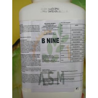 Compra B NINE (1 Kgr.) en la tienda online Fito Agrícola