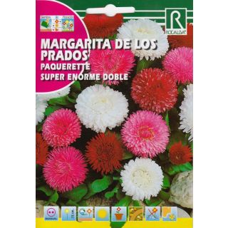 Compra MARGARITA DE LOS PRADOS SUPER ENORME DOBLE (0,2 gr.). en la tienda online Fito Agrícola