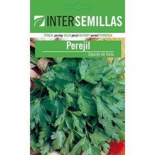Compra PEREJIL GIGANTE DE ITALIA ECOLÓGICO (100 gr.). en la tienda online Fito Agrícola