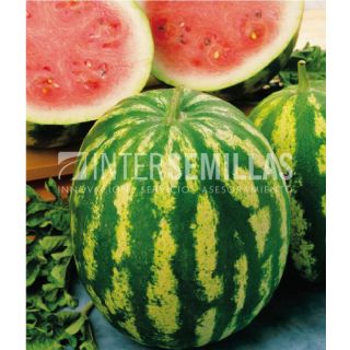 Compra SANDÍA CRIMSON SWEET ECOLOGICA (500 gr.). en la tienda online Fito Agrícola