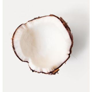 Compra MEJORANA (50 gr. - Cerca de 225.000 Semillas). en la tienda online Fito Agrícola