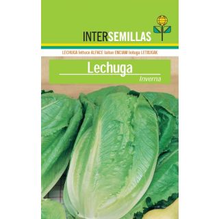 Compra LECHUGA INVERNA Sel. Intersemillas (100 gr.) en la tienda online Fito Agrícola