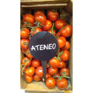 Compra TOMATE ATENEO ORGÁNICO F-1 (1.000 Semillas) en la tienda online Fito Agrícola