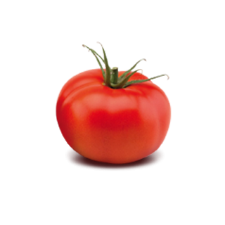 Compra TOMATE CORREDOR F1 (1.000 Semillas) en la tienda online Fito Agrícola