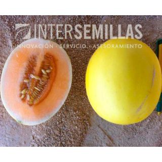 Compra MELÓN MELADO F-1 (1000 Semillas). en la tienda online Fito Agrícola