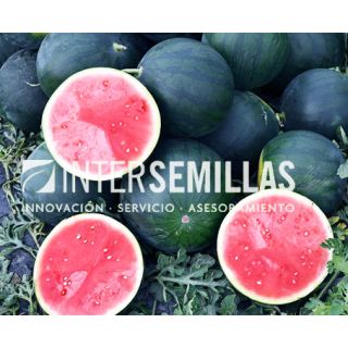 Compra SANDÍA ESTAMPA F1 (1.000 Semillas). en la tienda online Fito Agrícola