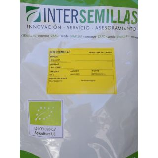 Compra CALABAZA BUTTERNUT ECOLÓGICA (500 gr.) en la tienda online Fito Agrícola