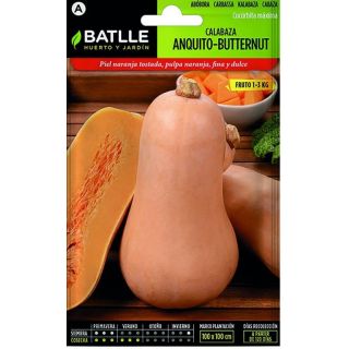 Compra CALABAZA ANQUITO BUTERNUT (6 gr.). en la tienda online Fito Agrícola