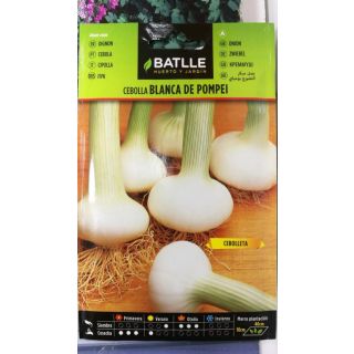 Compra CEBOLLA BLANCA DE POMPEI (4 gr.). en la tienda online Fito Agrícola